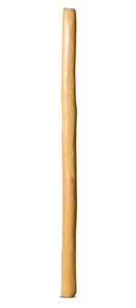 Medium Size Natural Finish Didgeridoo (TW1254)